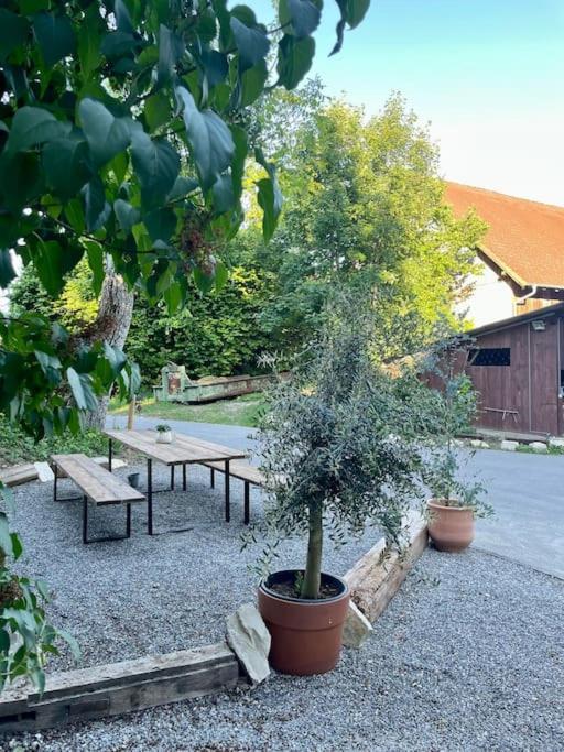 Zauberhafte Ferienscheune Im Hofgut Alte Oelmuehle Engen Exteriör bild