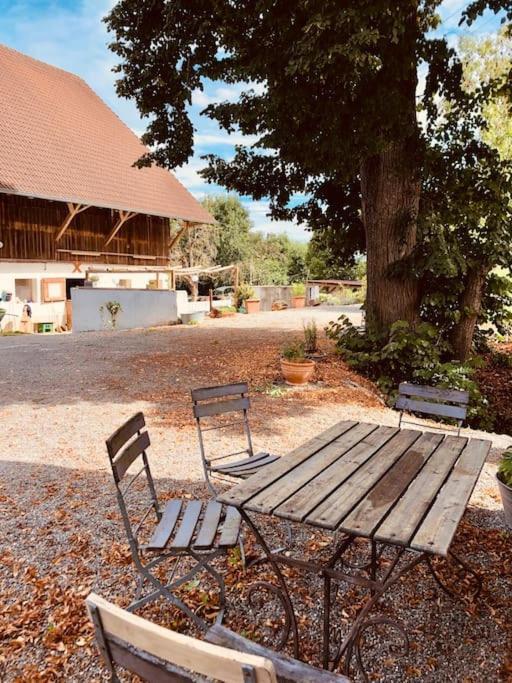 Zauberhafte Ferienscheune Im Hofgut Alte Oelmuehle Engen Exteriör bild